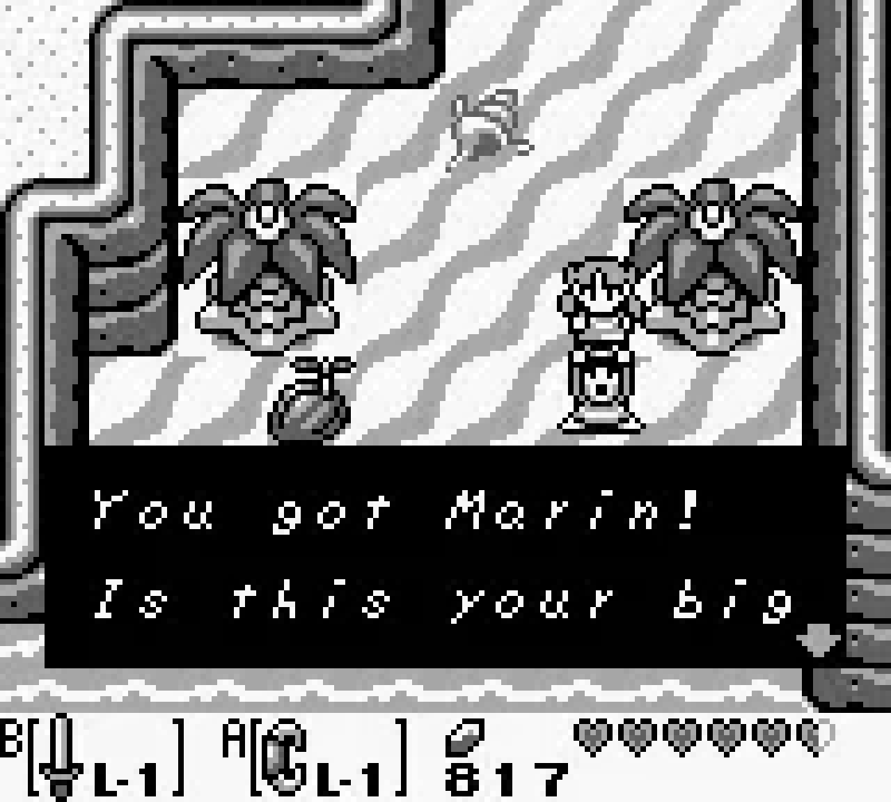 Marin following Link on his journey across Koholint Island