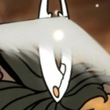 The Hollow Knight